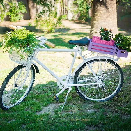 Denise Апартаменты